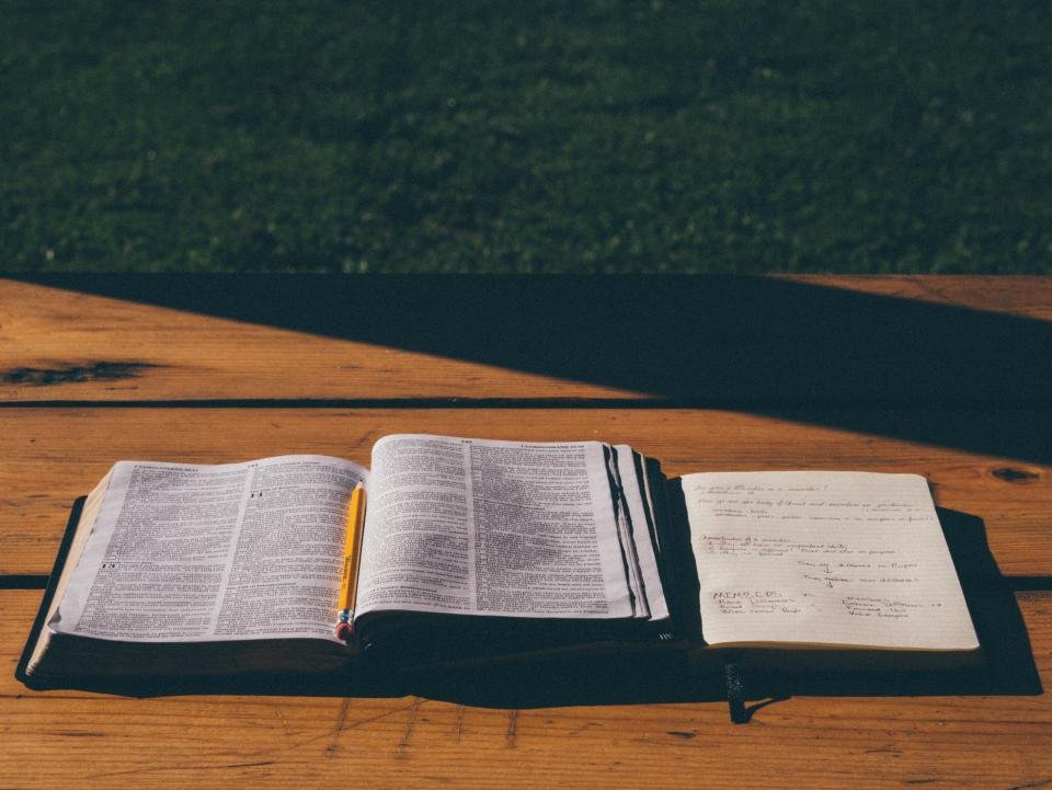 Pequenos rituais de leitura para entender melhor um texto